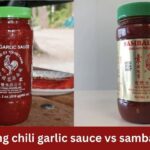 huy fong chili garlic sauce vs sambal oelek