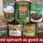 is canned spinach as good as fresh
