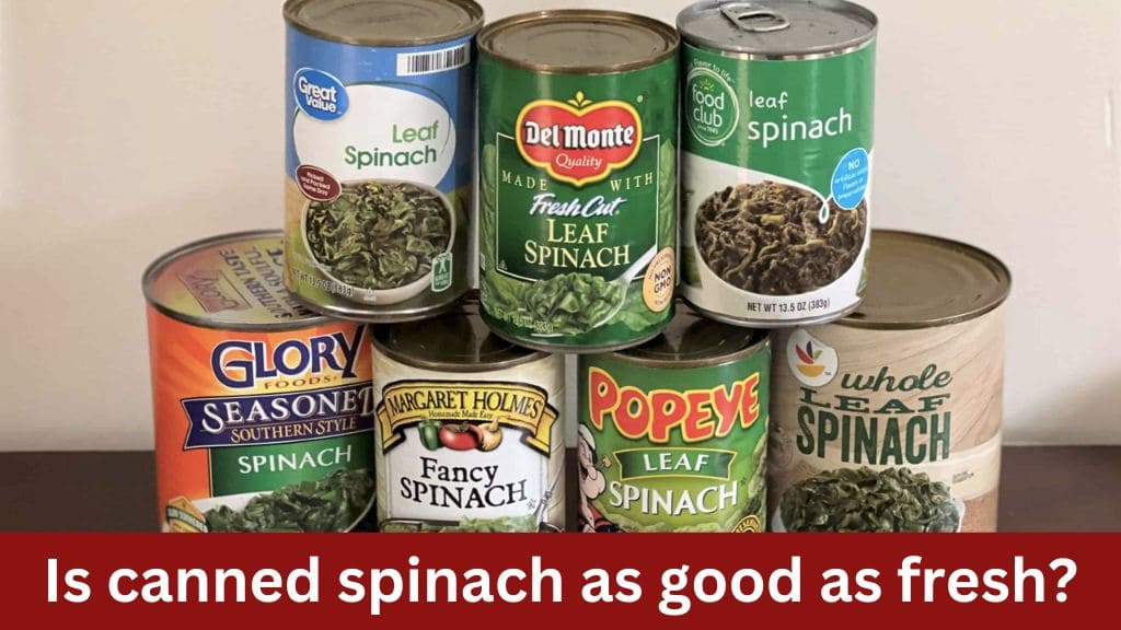 is canned spinach as good as fresh
