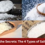 what are the 4 types of salt